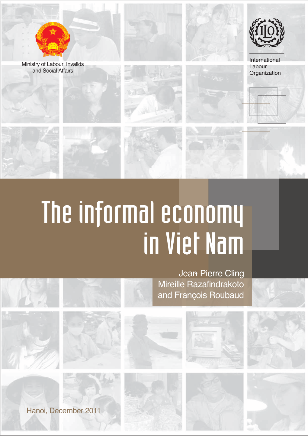 The Informal Economy in Viet Nam