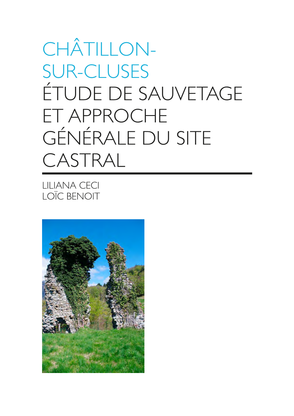 Châtillon Sur Cluses : Étude De (Novalaise, Base Départementale D’Aviron, Sauvetage Et Approche Générale Du Site Lundi 19 Juin 2017)