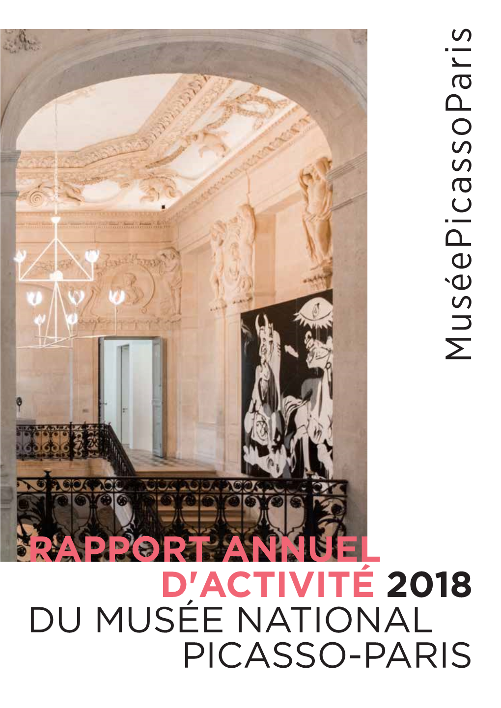 Rapport Annuel D'activité 2018 Picasso-Paris