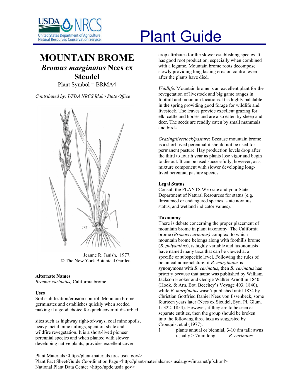 MOUNTAIN BROME Has Good Root Production, Especially When Combined with a Legume
