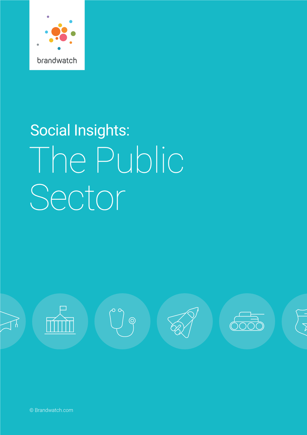 Social Insights: the Public Sector