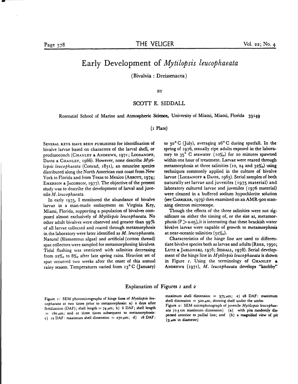 Early Development of Mytilopsis Leucophaeata