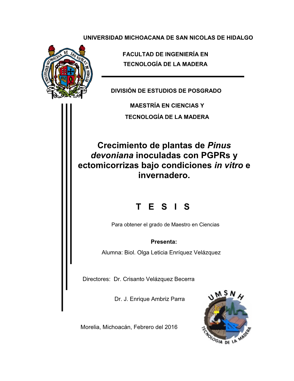 Crecimiento De Plantas De Pinus Devoniana Inoculadas Con Pgprs Y Ectomicorrizas Bajo Condiciones in Vitro E Invernadero. T