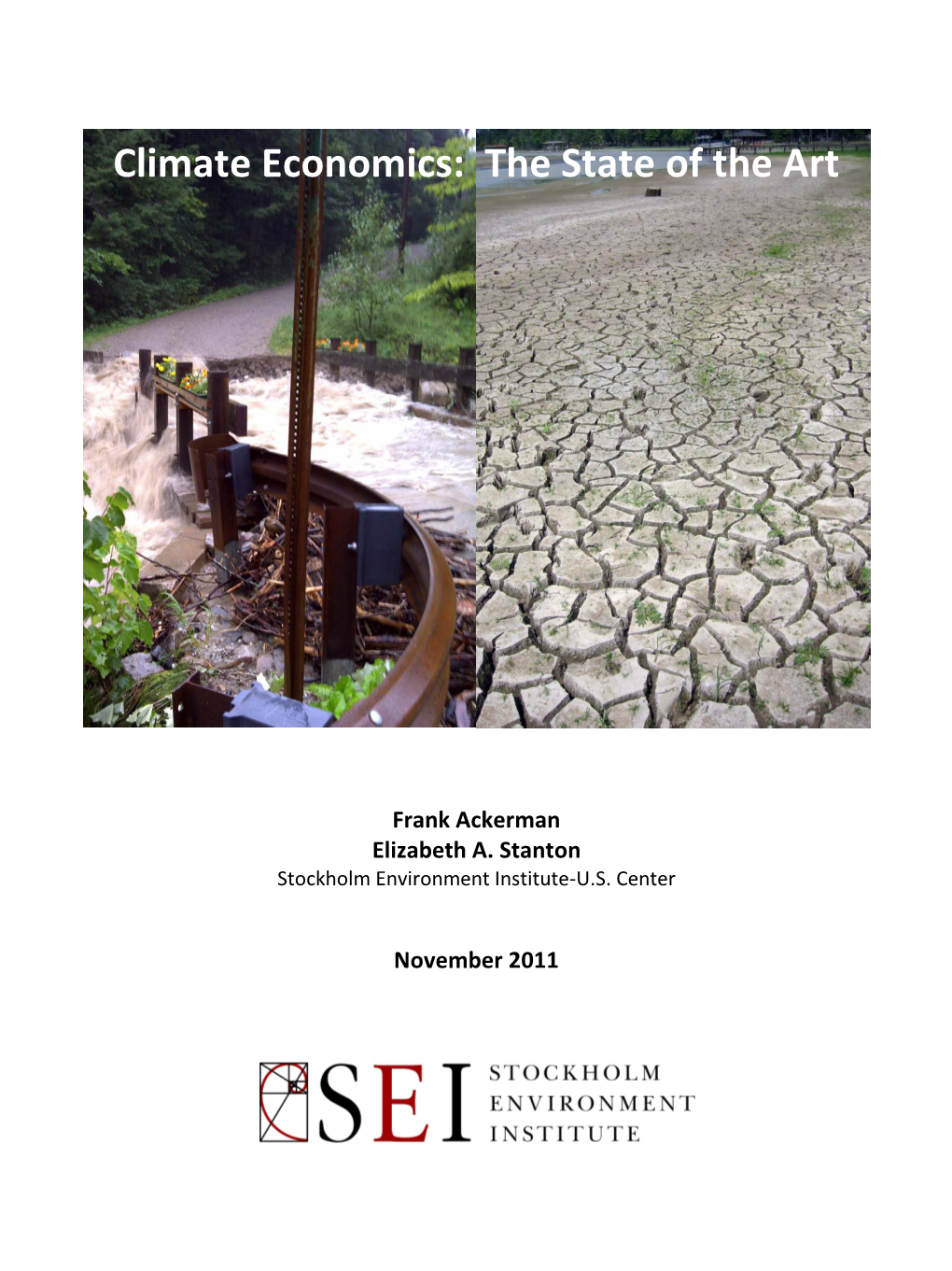 Climate Economics: the State of the Art