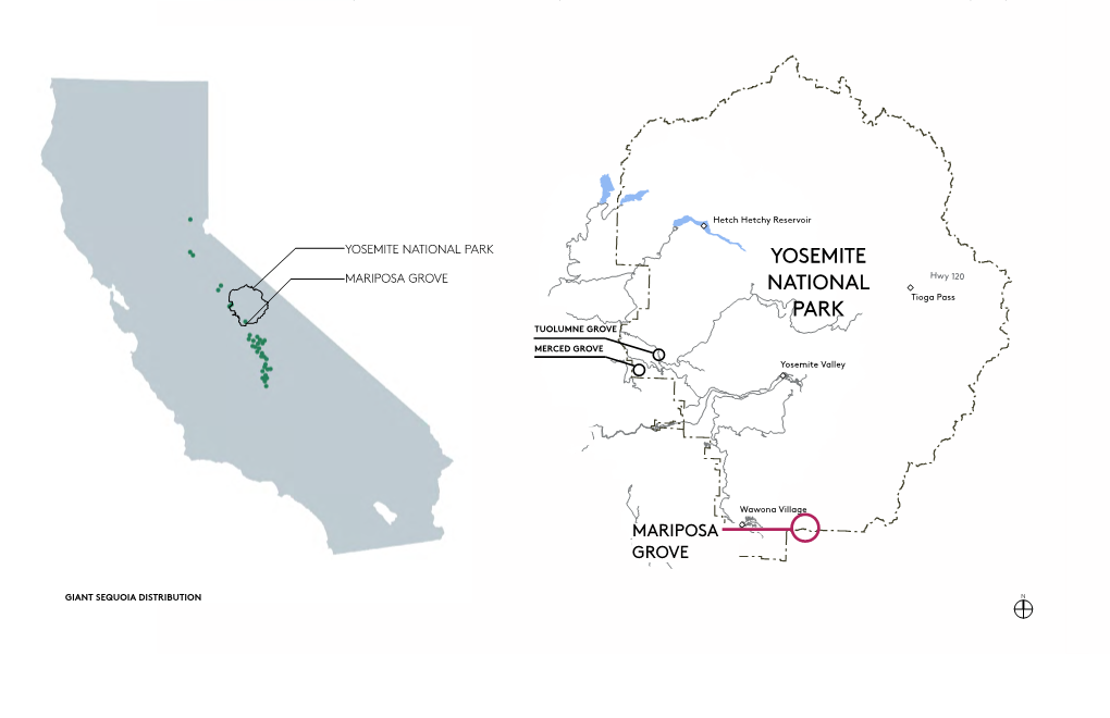 YOSEMITE NATIONAL PARK YOSEMITE MARIPOSA GROVE NATIONAL Hwy 120 Tioga Pass PARK TUOLUMNE GROVE