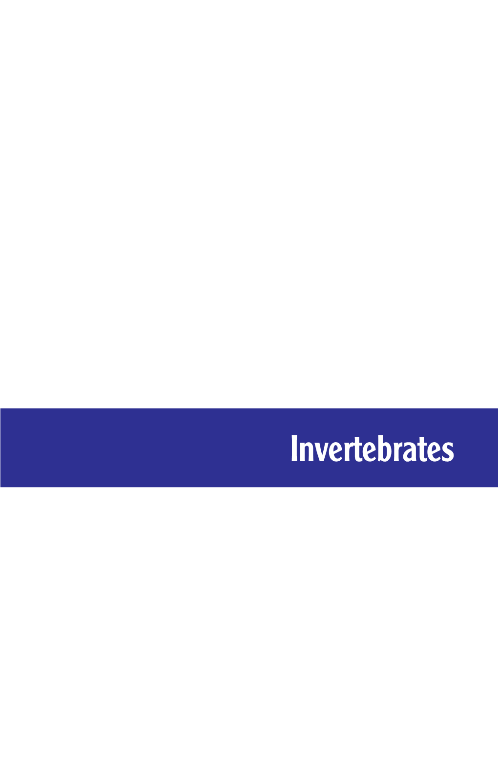 Invertebrates