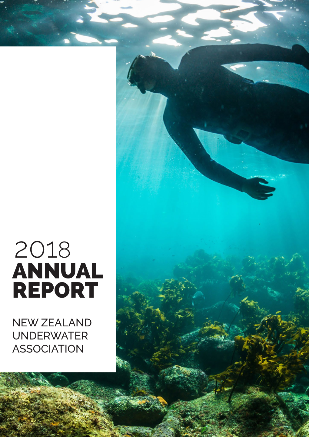 Annual Report