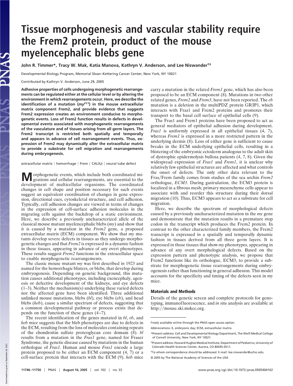 Tissue Morphogenesis and Vascular Stability Require the Frem2 Protein, Product of the Mouse Myelencephalic Blebs Gene
