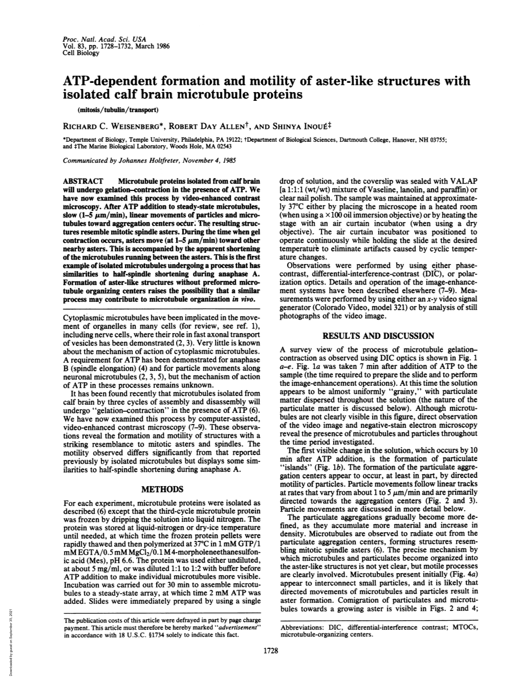 ATP-Dependent Formation and Motility of Aster-Like Structures with Isolated Calf Brain Microtubule Proteins (Mitosis/Tubuin/Transport) RICHARD C