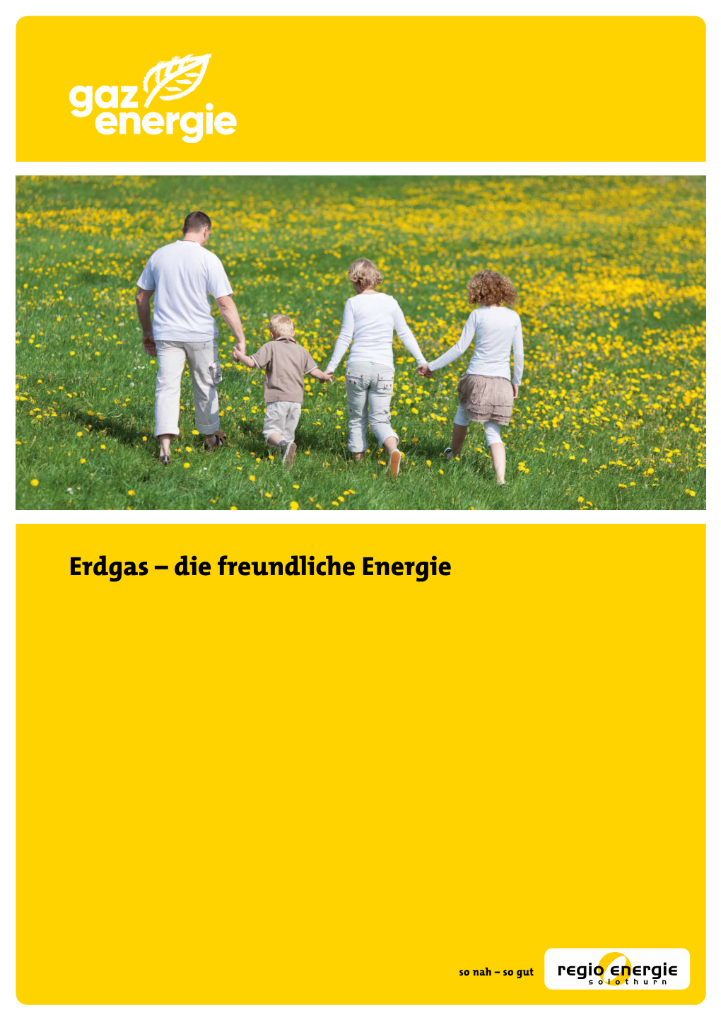 Erdgas – Die Freundliche Energie Erdgas, Praktisch Und Sicher