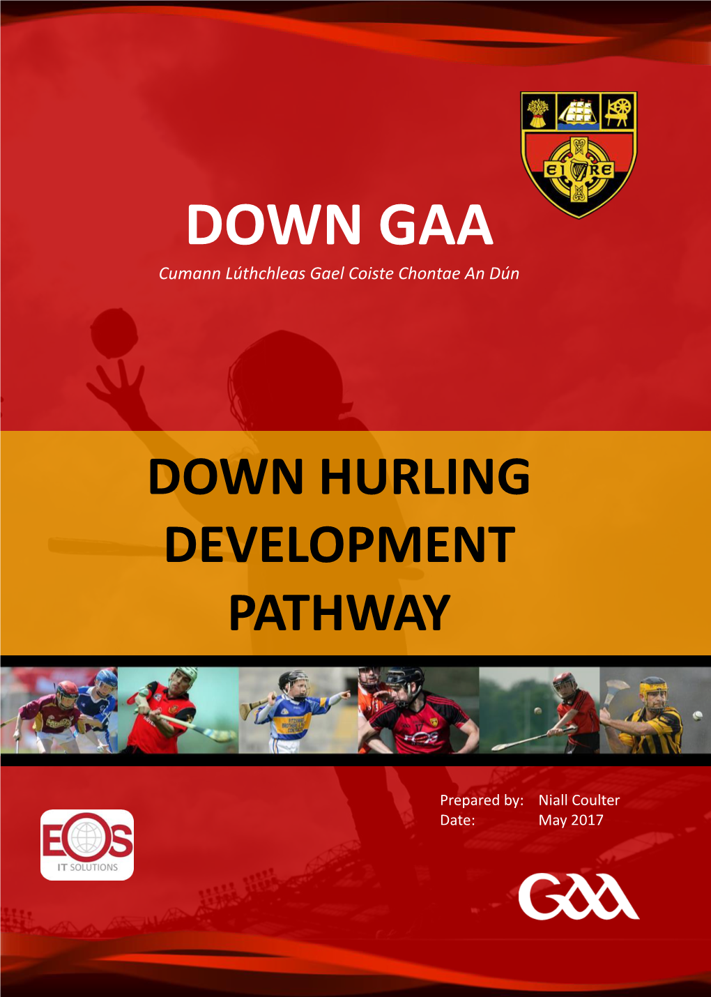 Down GAA Hurling Development Pathway