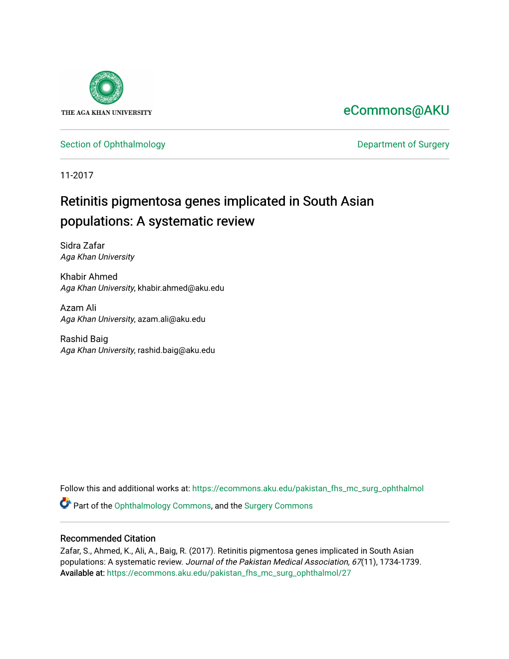 Retinitis Pigmentosa Genes Implicated in South Asian Populations: a Systematic Review