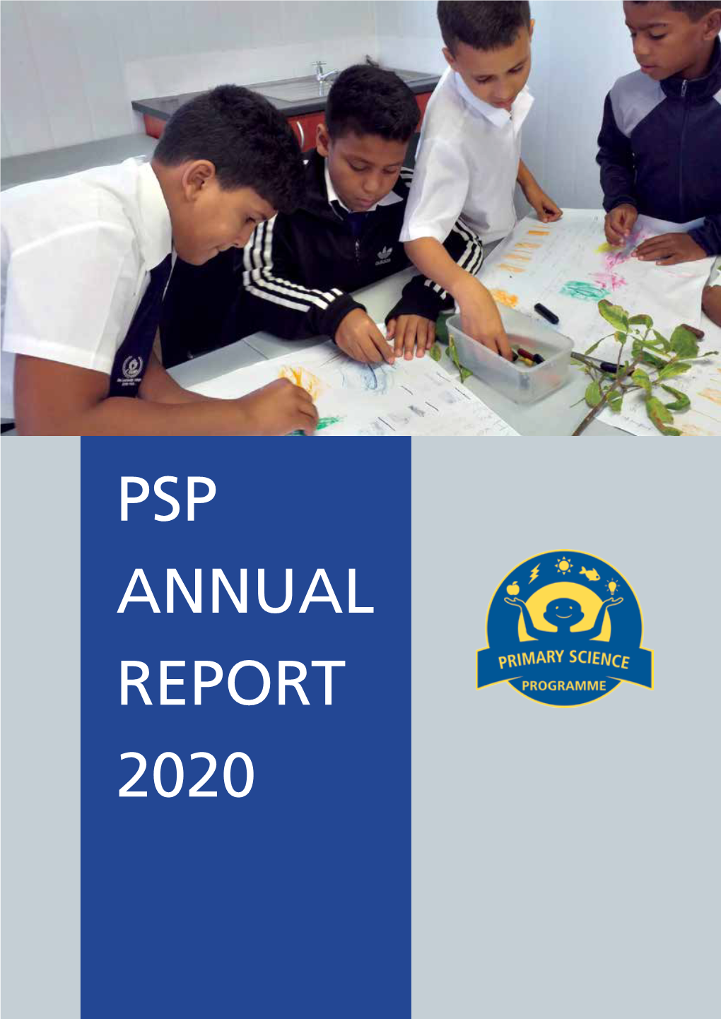 PSP Annual Report 2020