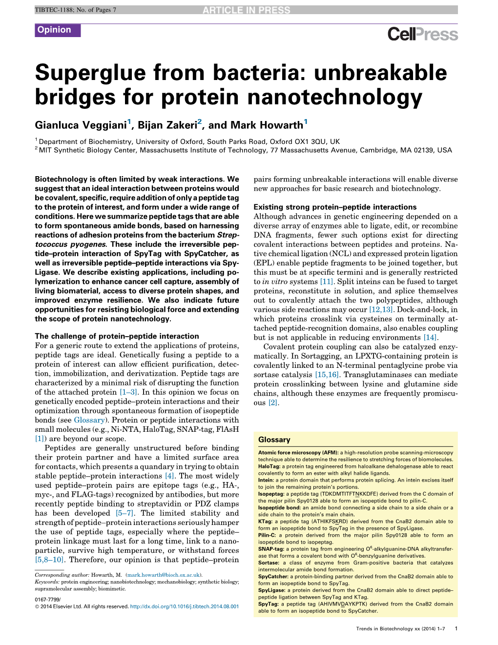 Superglue from Bacteria: Unbreakable Bridges for Protein Nanotechnology