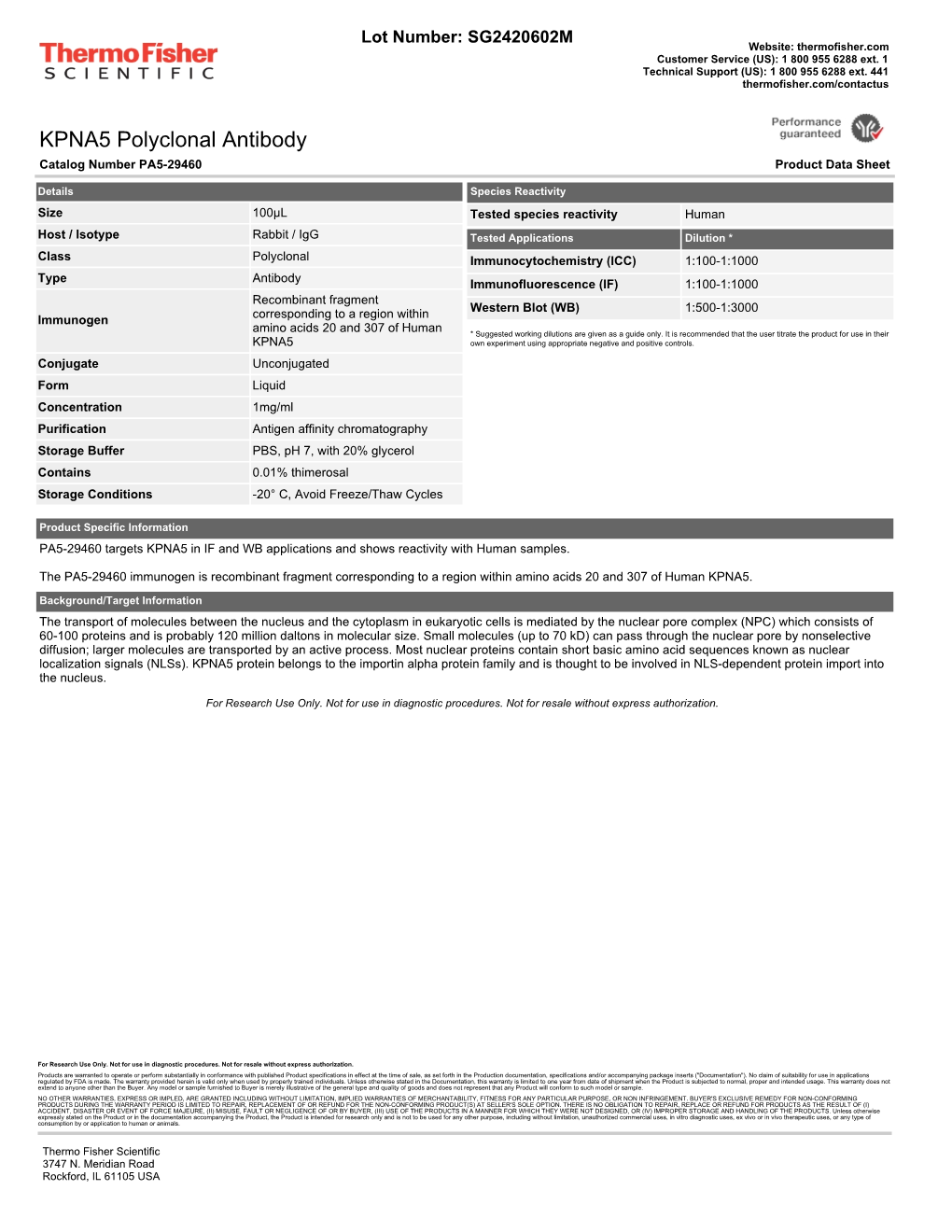 KPNA5 Polyclonal Antibody Catalog Number PA5-29460 Product Data Sheet