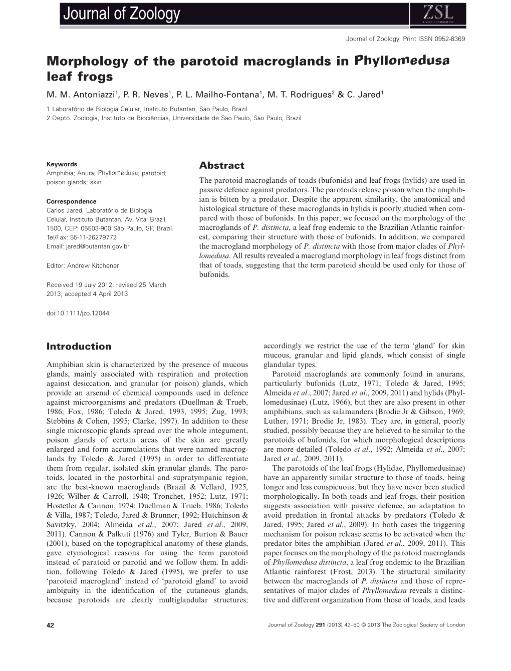 Morphology of the Parotoid Macroglands in Phyllomedusa Leaf Frogs M