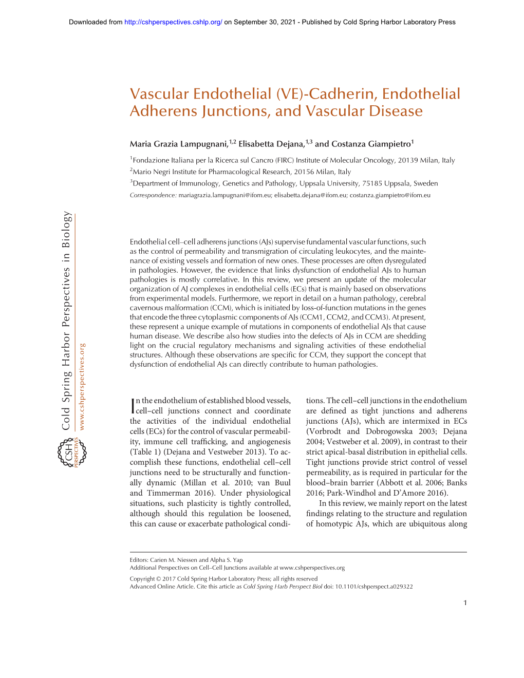 (VE)-Cadherin, Endothelial Adherens Junctions, and Vascular Disease