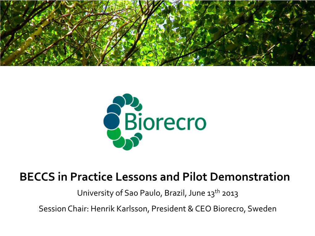 BECCS in Practice Lessons and Pilot Demonstration