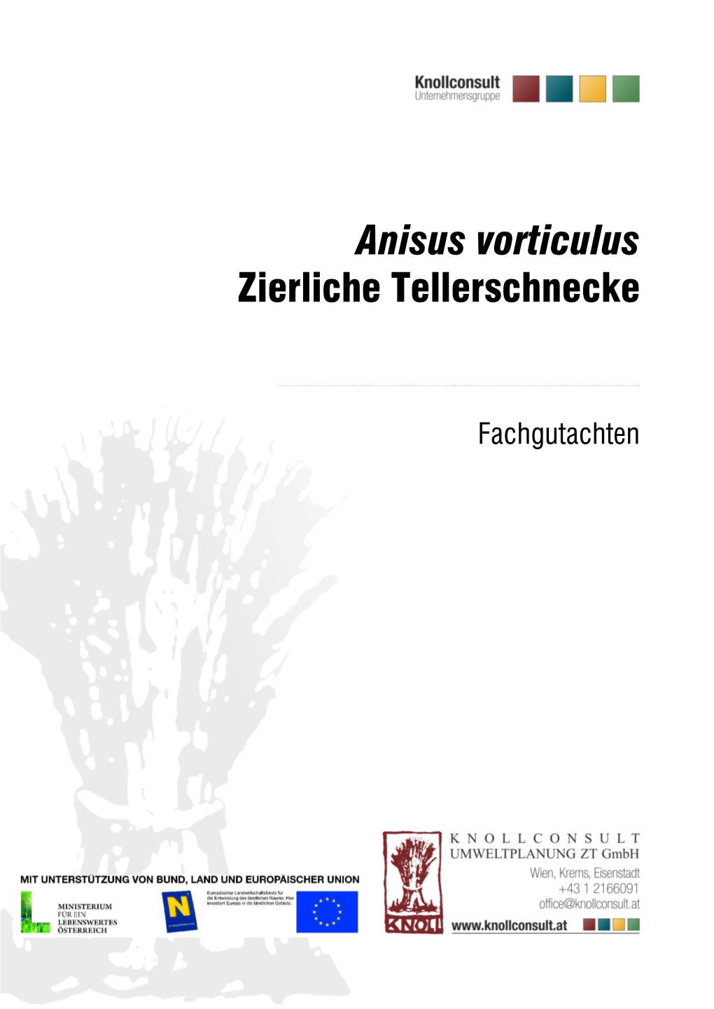 Anisus Vorticulus Zierliche Tellerschnecke