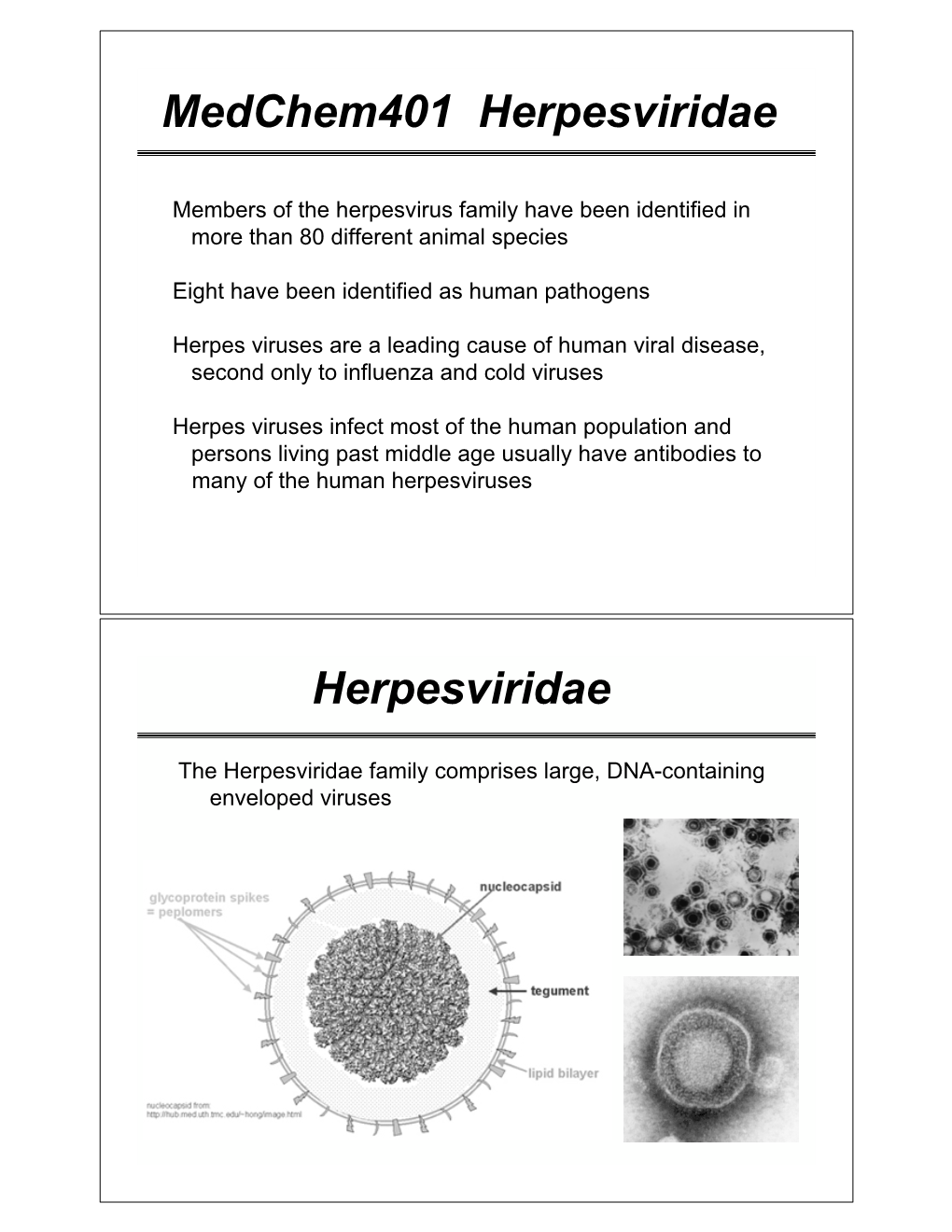 Herpes Simplex Virus-1 and 2 (HSV-1/HSV-2) Varicella-Zoster Virus (VZV)