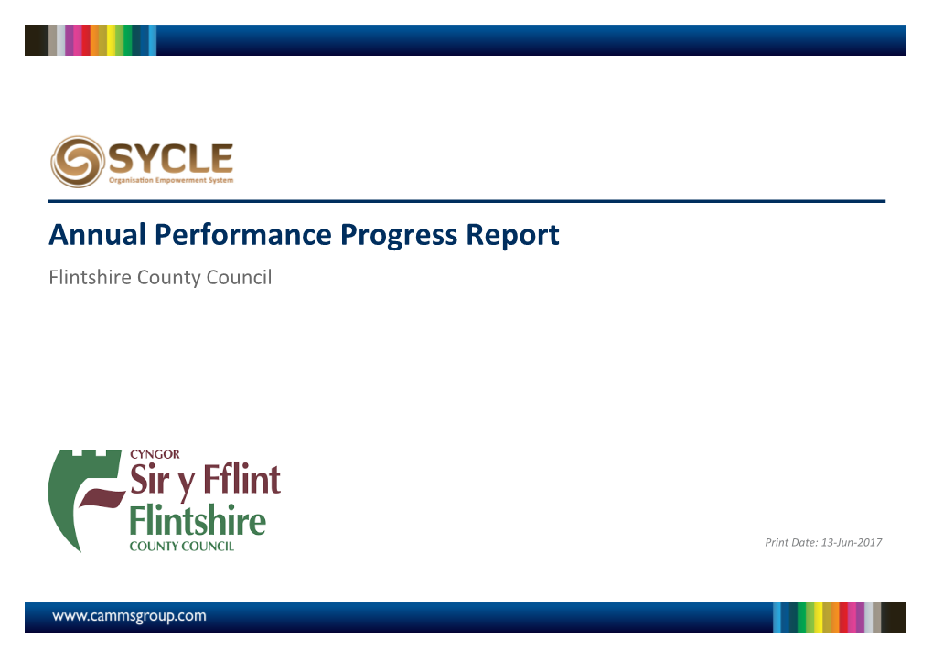 Annual Performance Progress Report Flintshire County Council