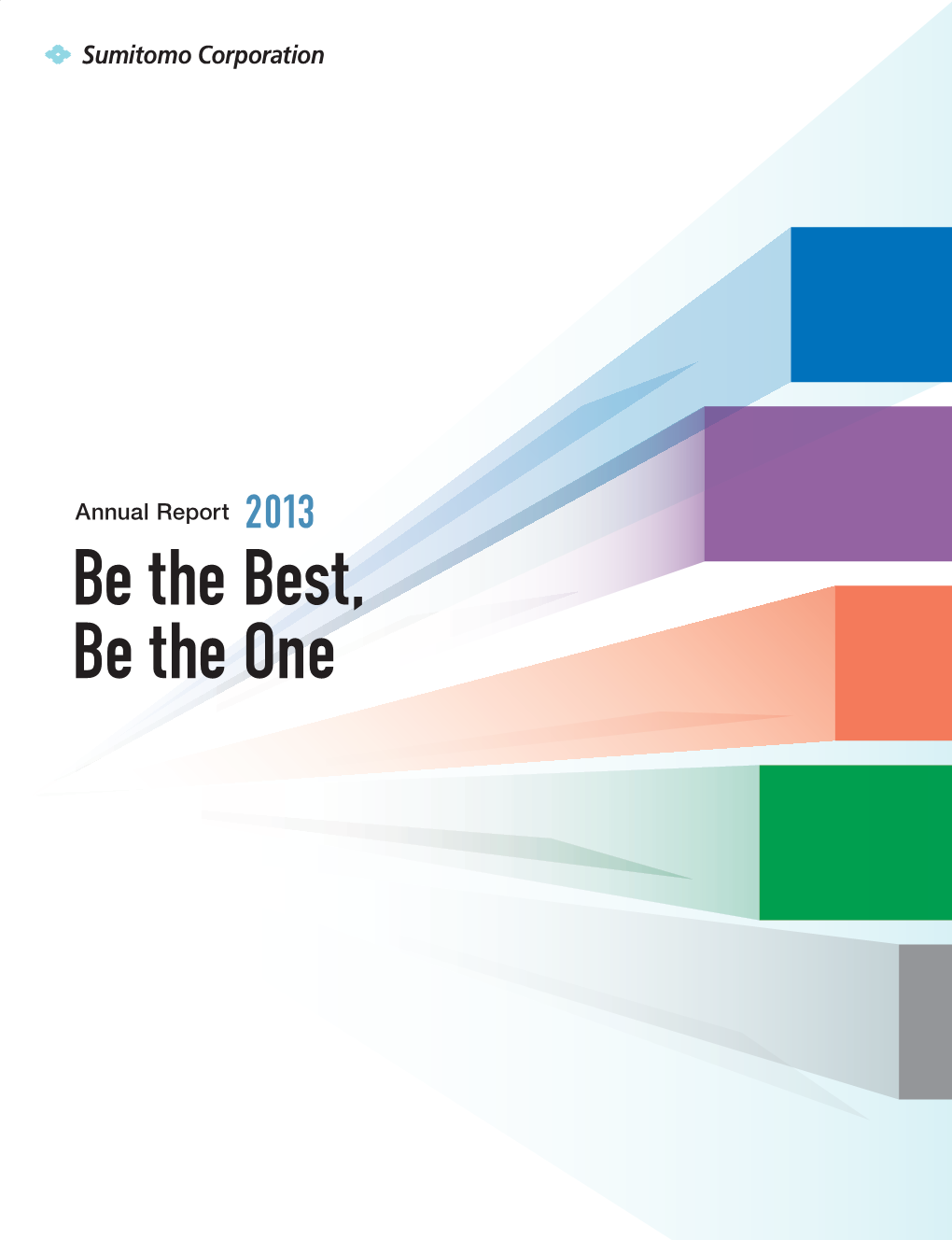 Annual Report 2013