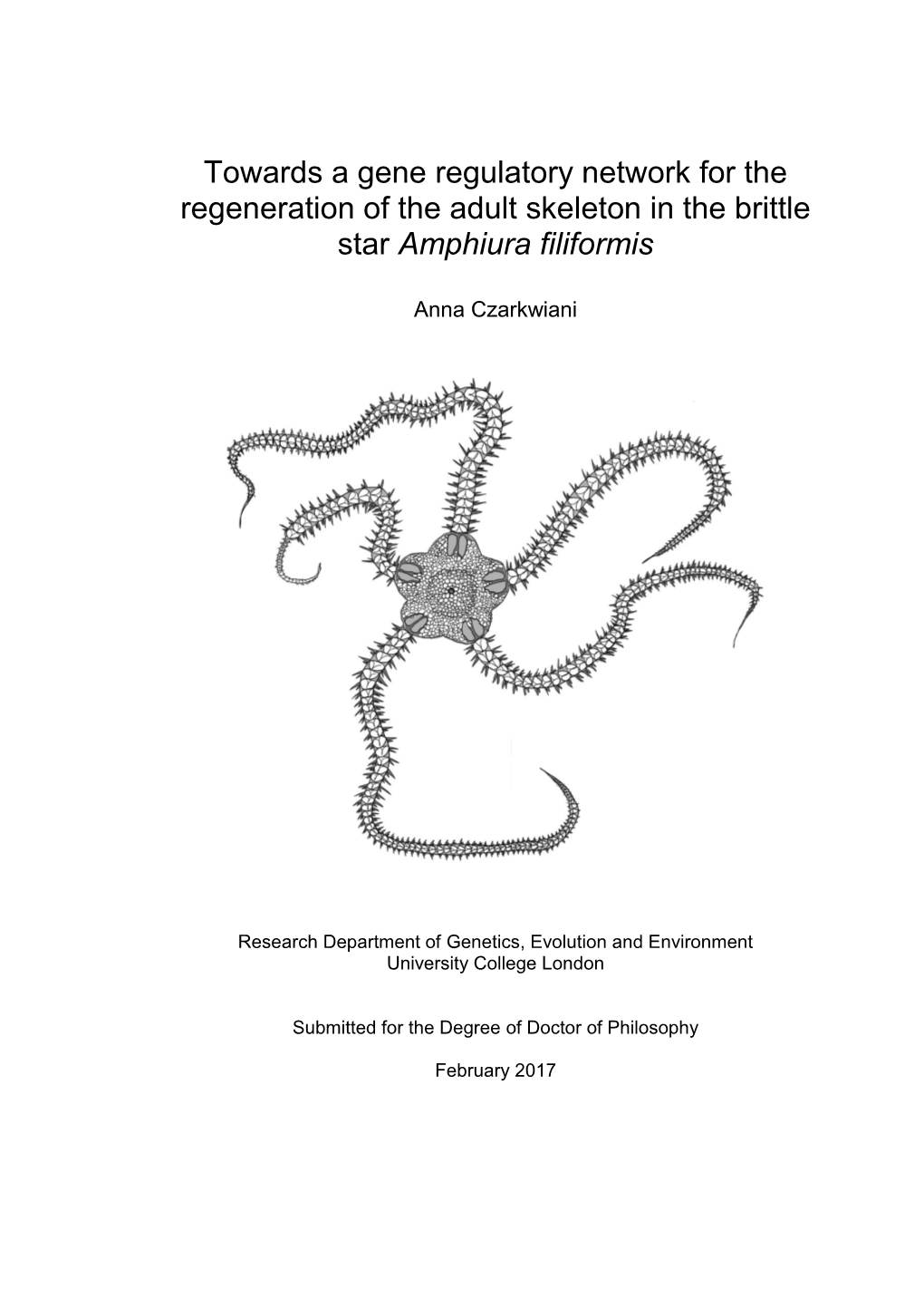 Towards a Gene Regulatory Network for the Regeneration of the Adult Skeleton in the Brittle Star Amphiura Filiformis