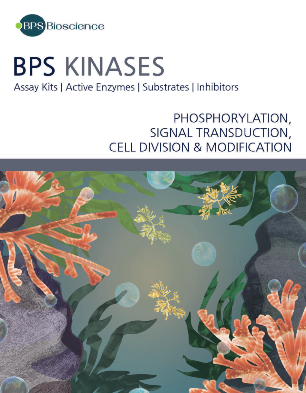 Kinase Assay Kits Product Listing