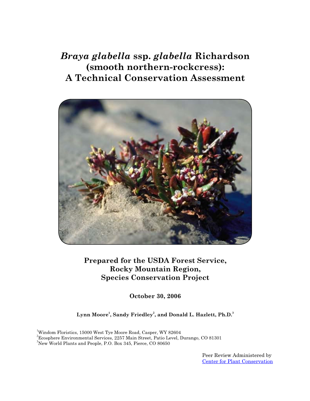 Braya Glabella Ssp. Glabella Richardson (Smooth Northern-Rockcress): a Technical Conservation Assessment