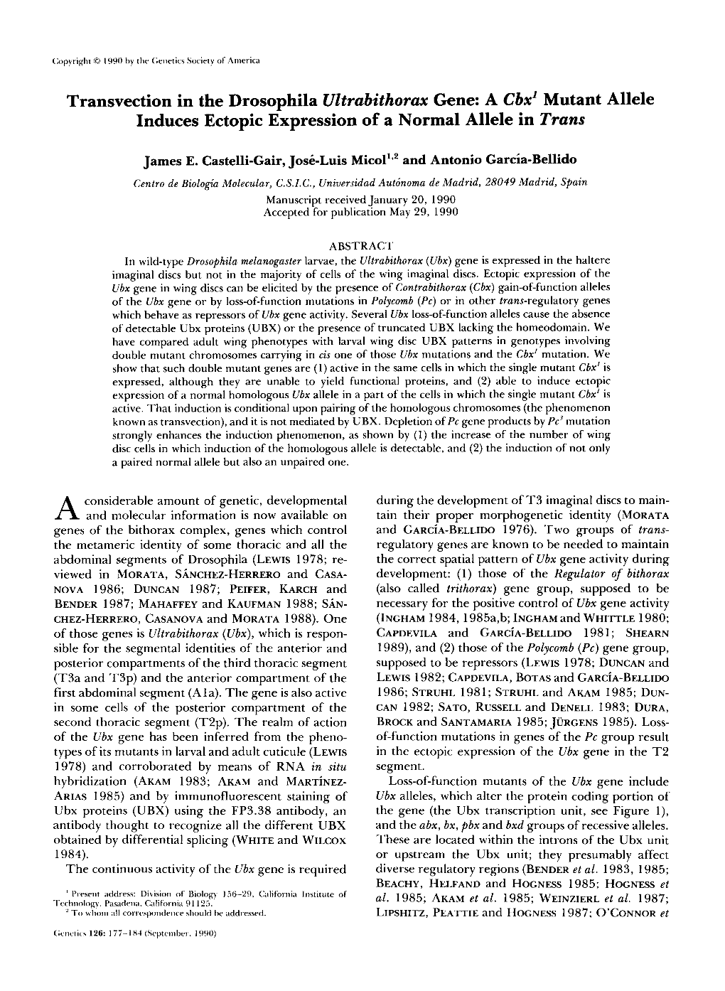 A Cbx' Mutant Allele Induces Ectopic Expression of a Normal Allele in Trans