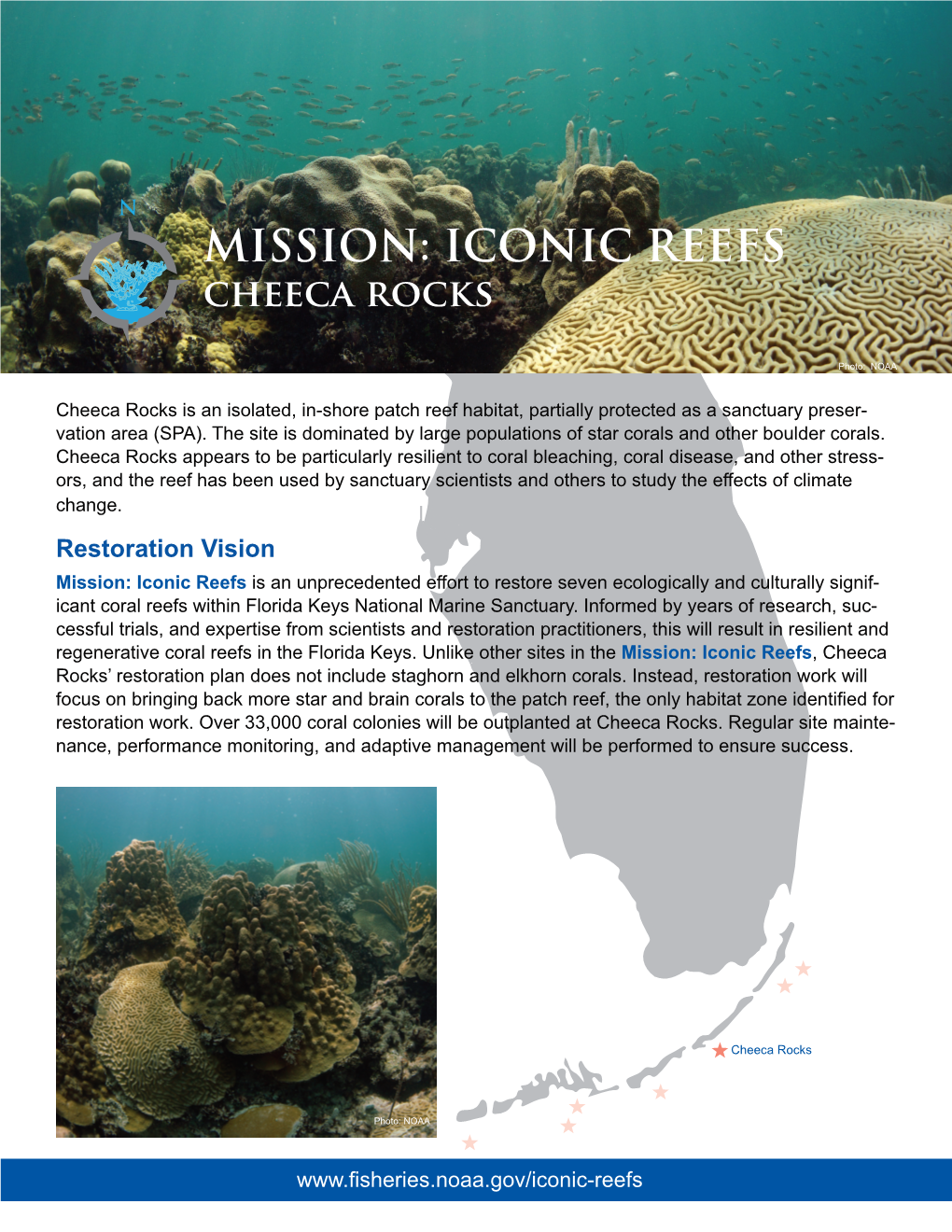 MISSION: ICONIC REEFS Cheeca Rocks