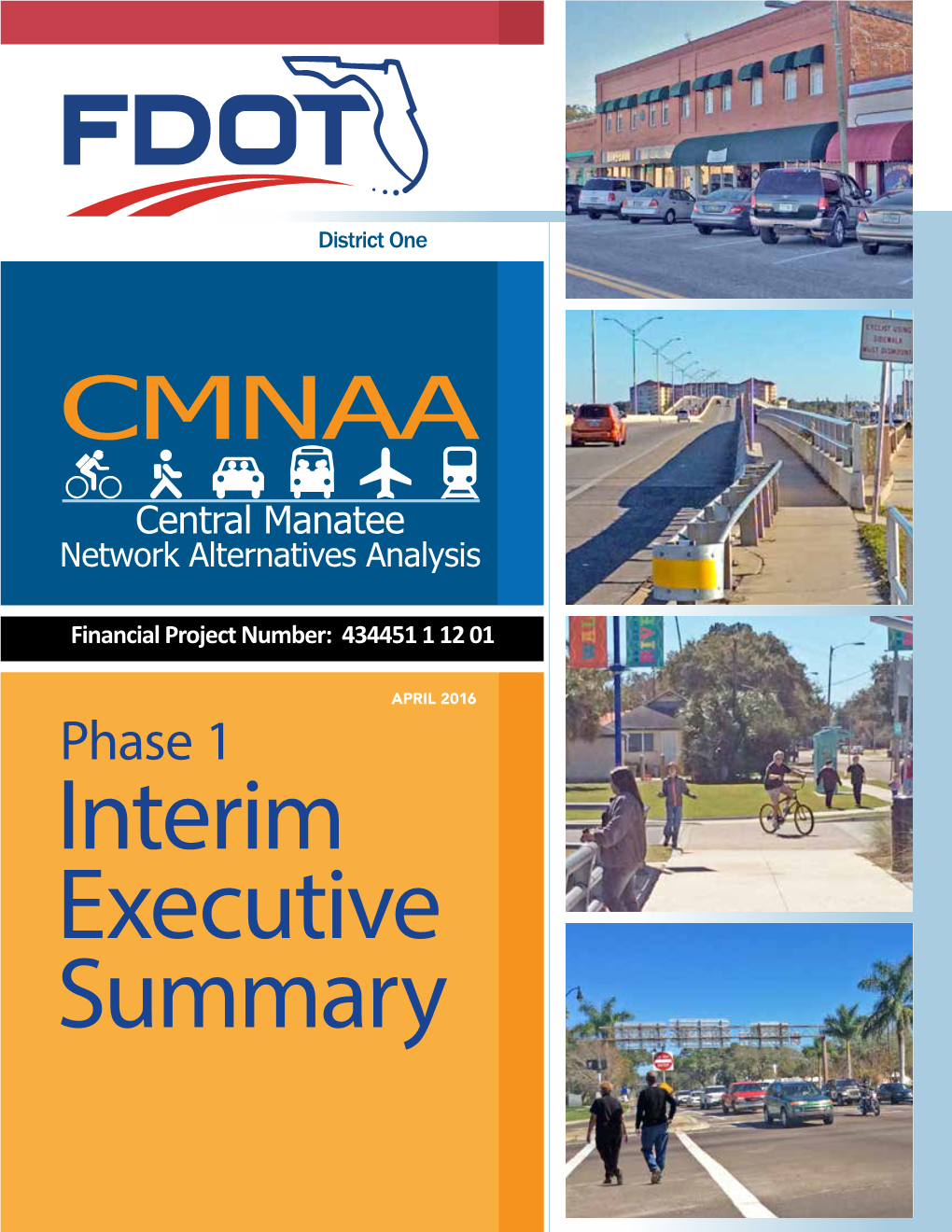 Interim Executive Summary Interim Executive