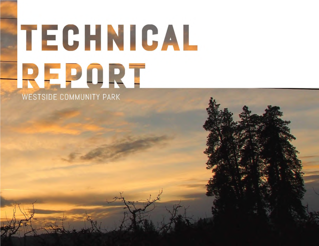Technical Report Outlines the Research and Public Engagement Methods That Led to the Final Vision and Program