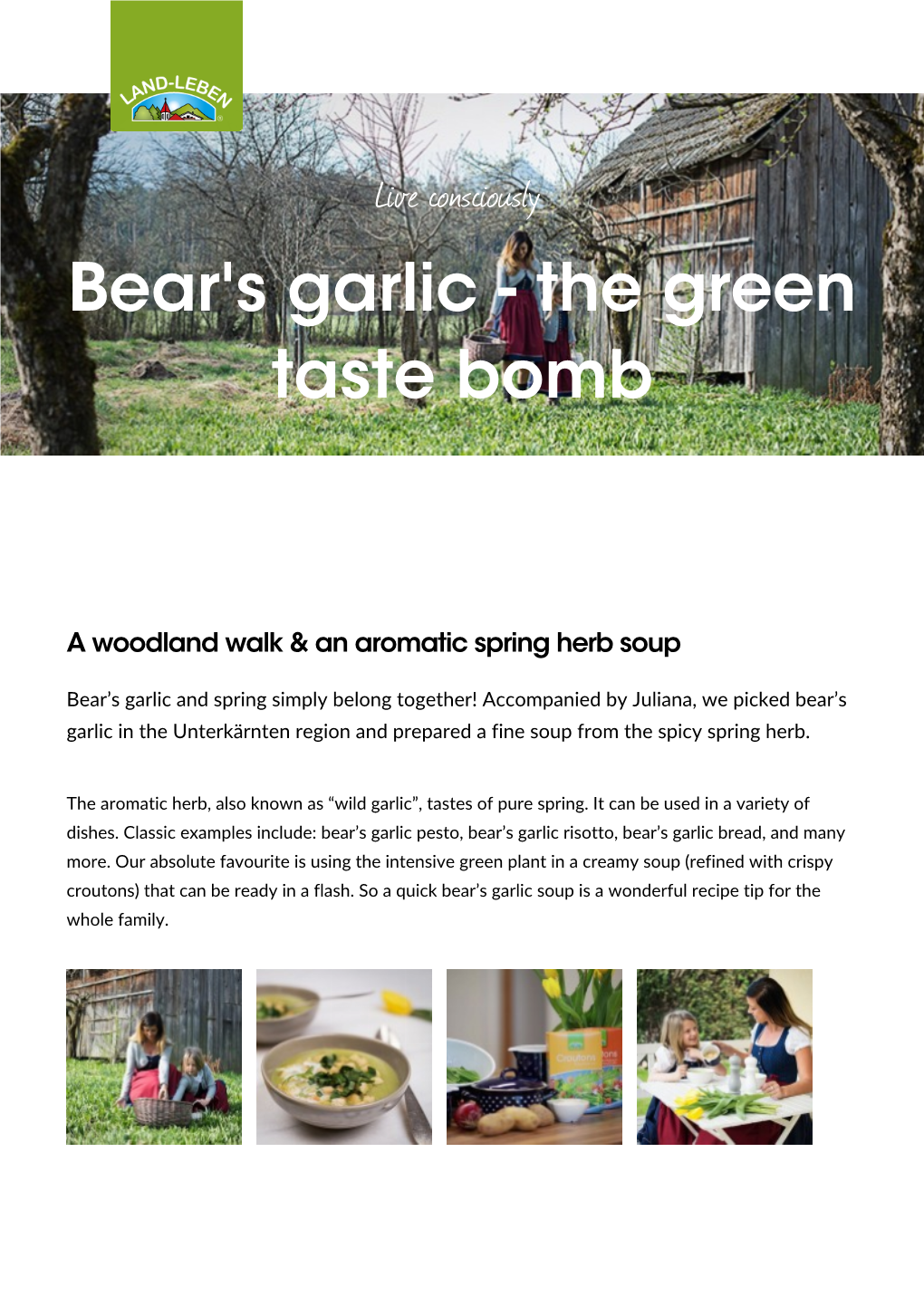 Bear's Garlic - the Green Taste Bomb