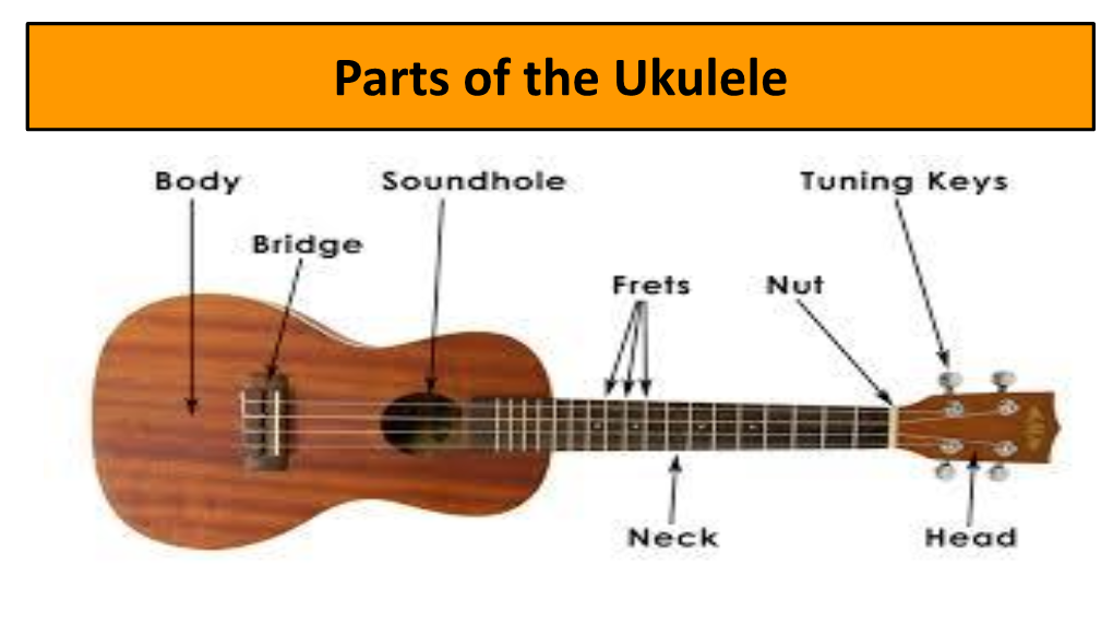 Parts of the Ukulele Warm-Ups