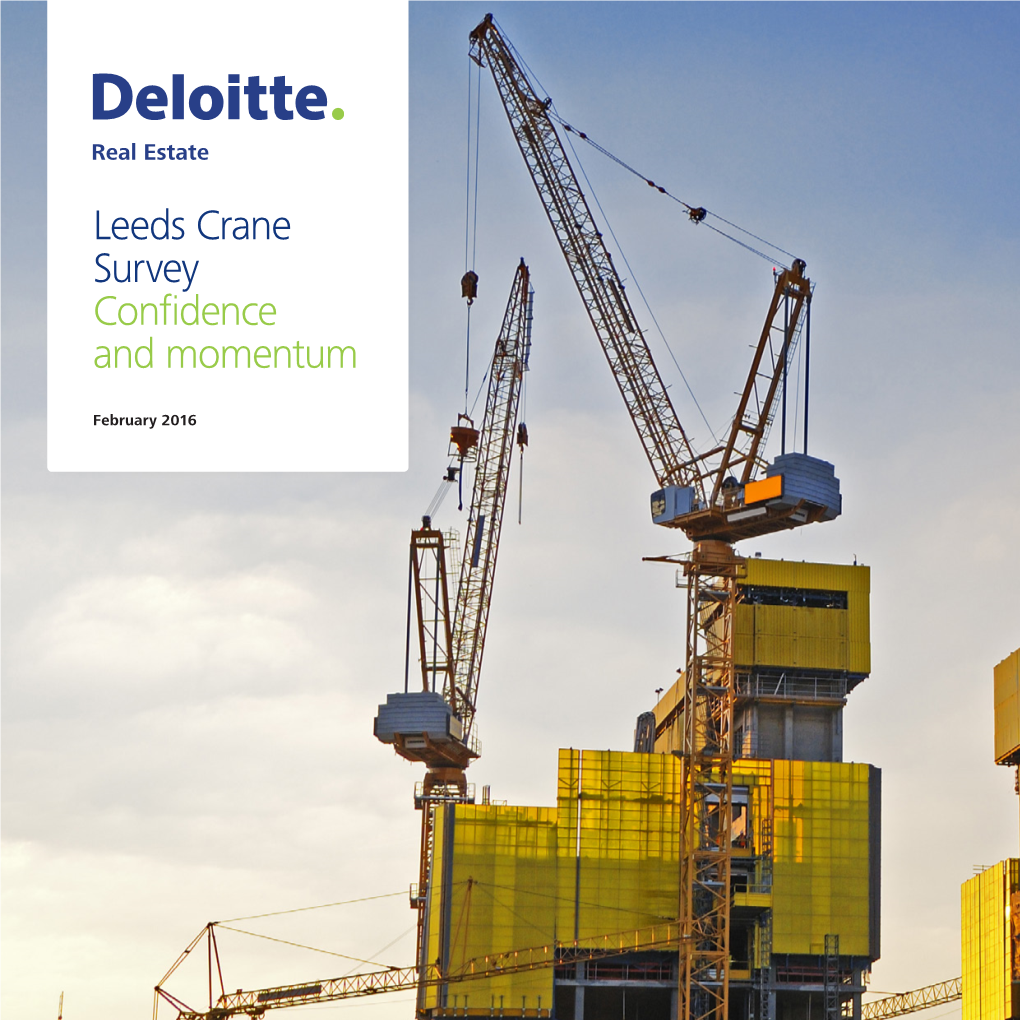 Leeds Crane Survey Confidence and Momentum