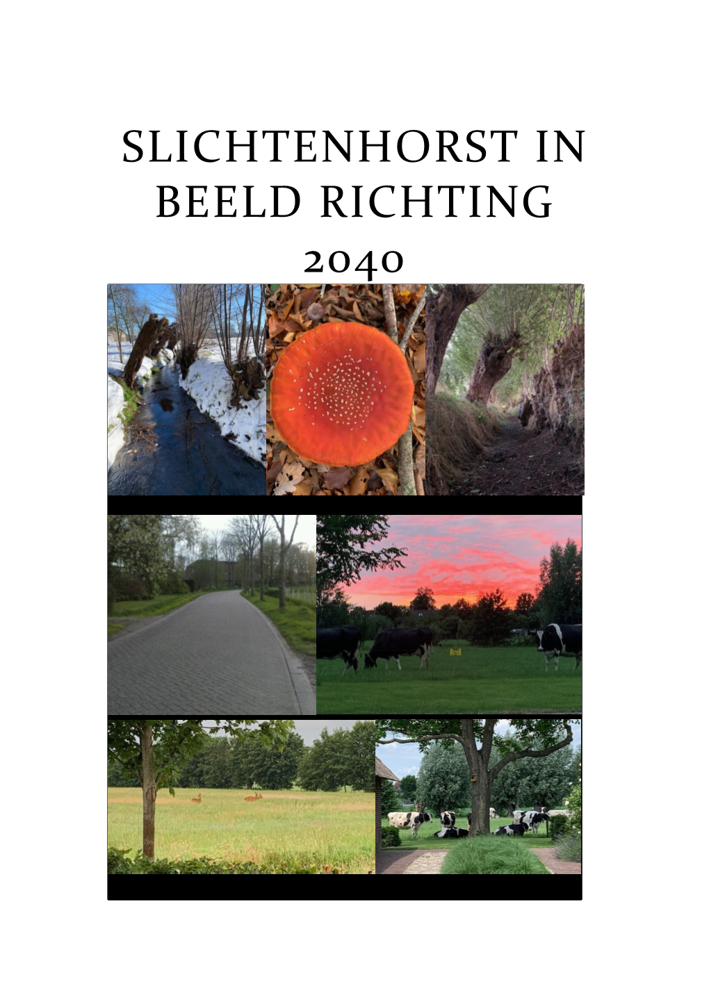 Slichtenhorst in Beeld Richting 2040