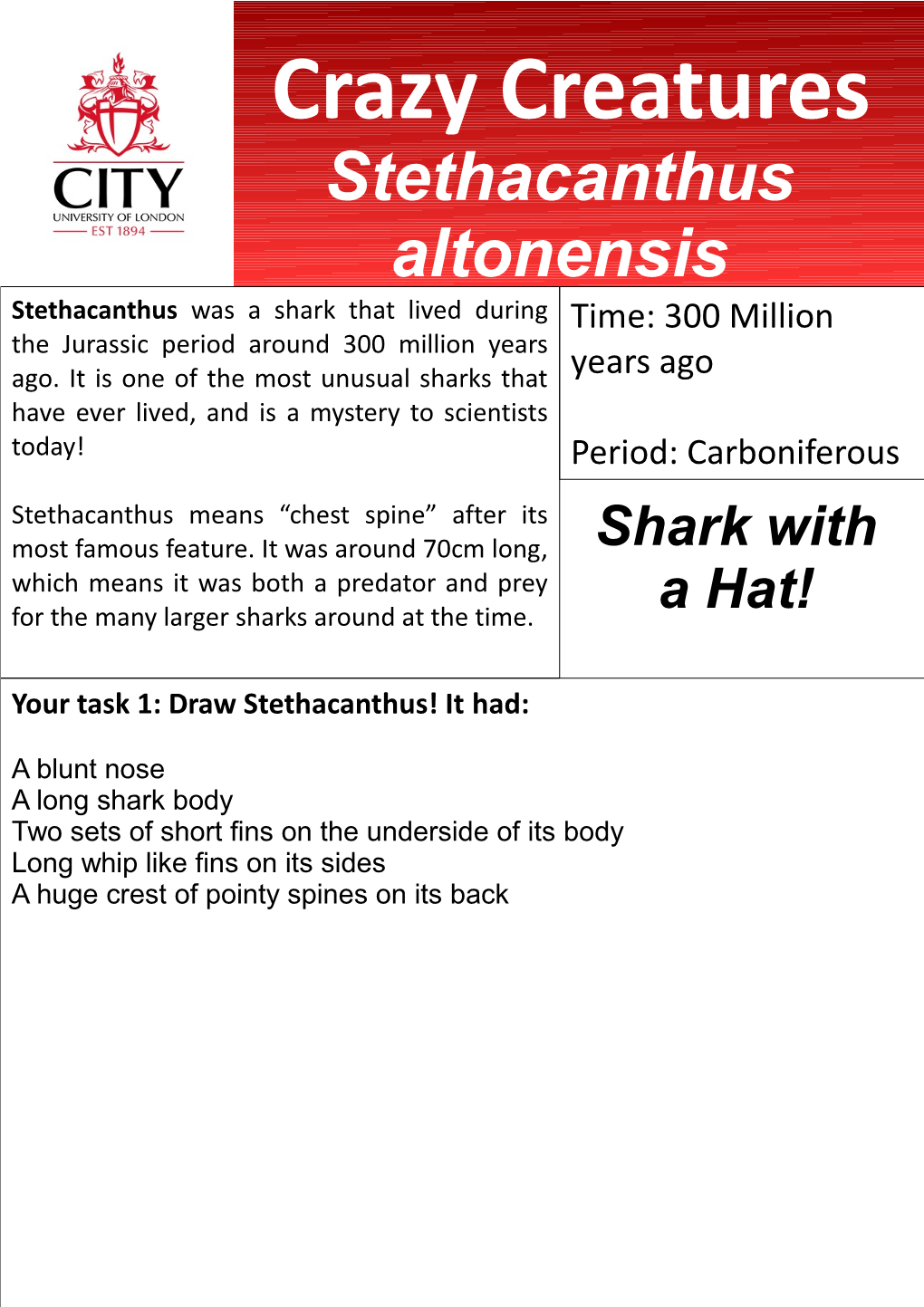 Stethacanthus Altonensis Stethacanthus Was a Shark That Lived During Time: 300 Million the Jurassic Period Around 300 Million Years Ago