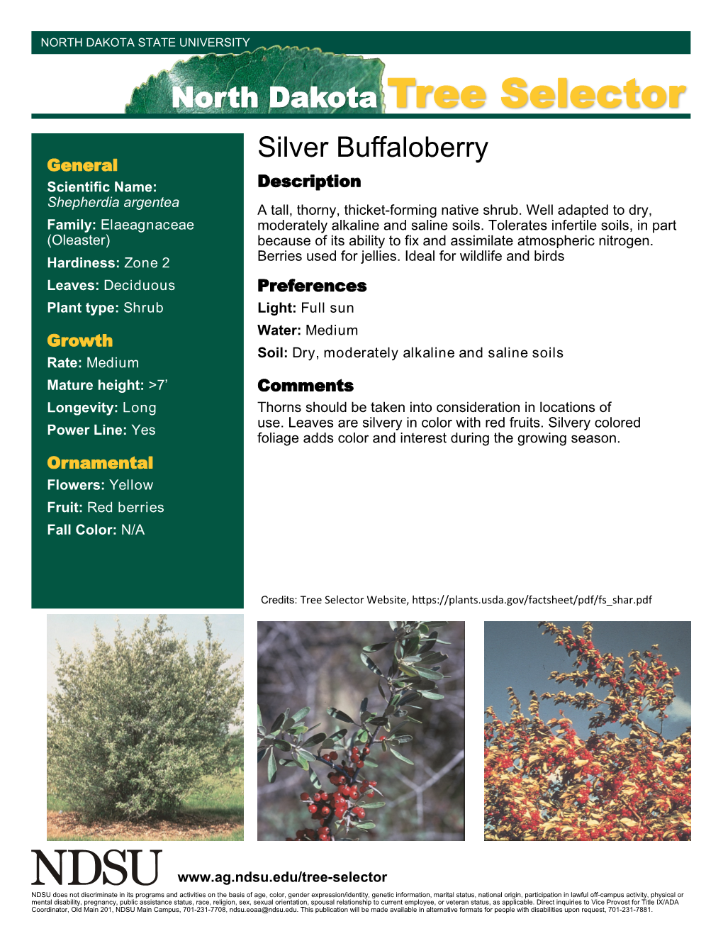 North Dakota Tree Selector Silver Buffaloberry General Scientific Name: Description Shepherdia Argentea a Tall, Thorny, Thicket-Forming Native Shrub