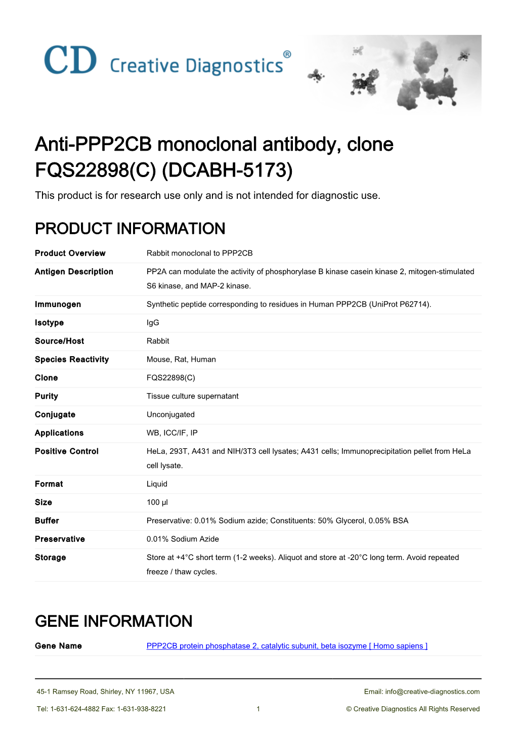Anti-PPP2CB Monoclonal Antibody, Clone FQS22898(C) (DCABH-5173) This Product Is for Research Use Only and Is Not Intended for Diagnostic Use
