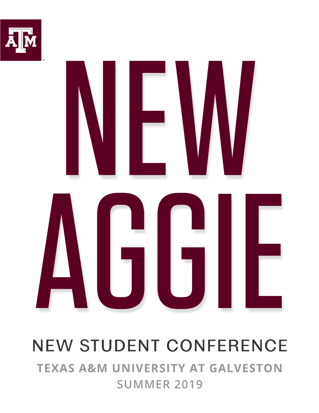 New Student Conference Texas A&M University at Galveston Summer 2019 We Are Aggies by the Sea an Introduction from Student Affairs