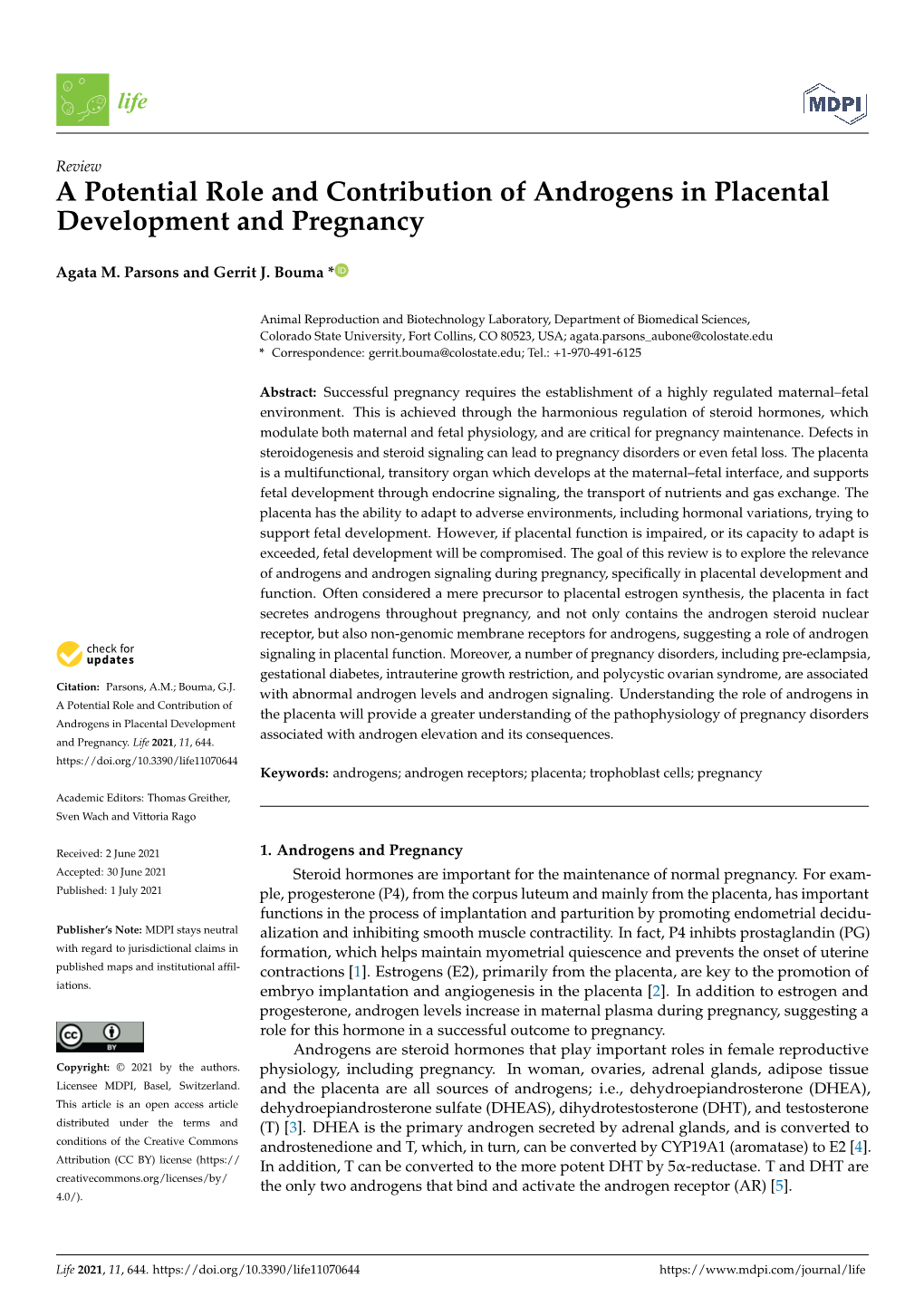 A Potential Role and Contribution of Androgens in Placental Development and Pregnancy