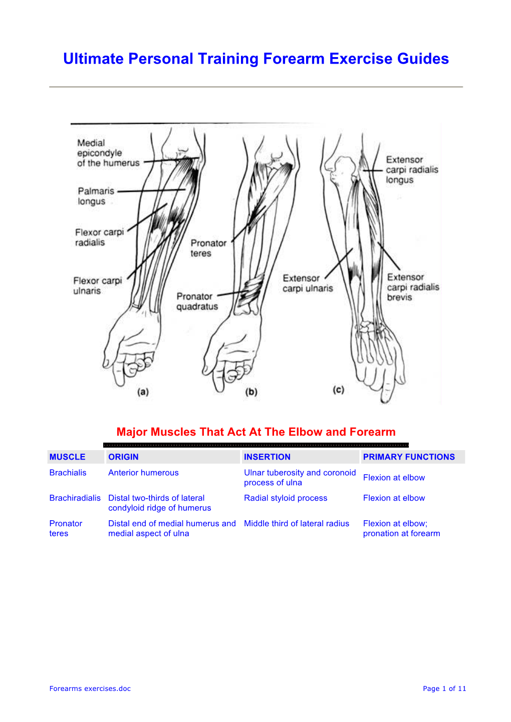 Ultimate Personal Training Forearm Exercise Guides