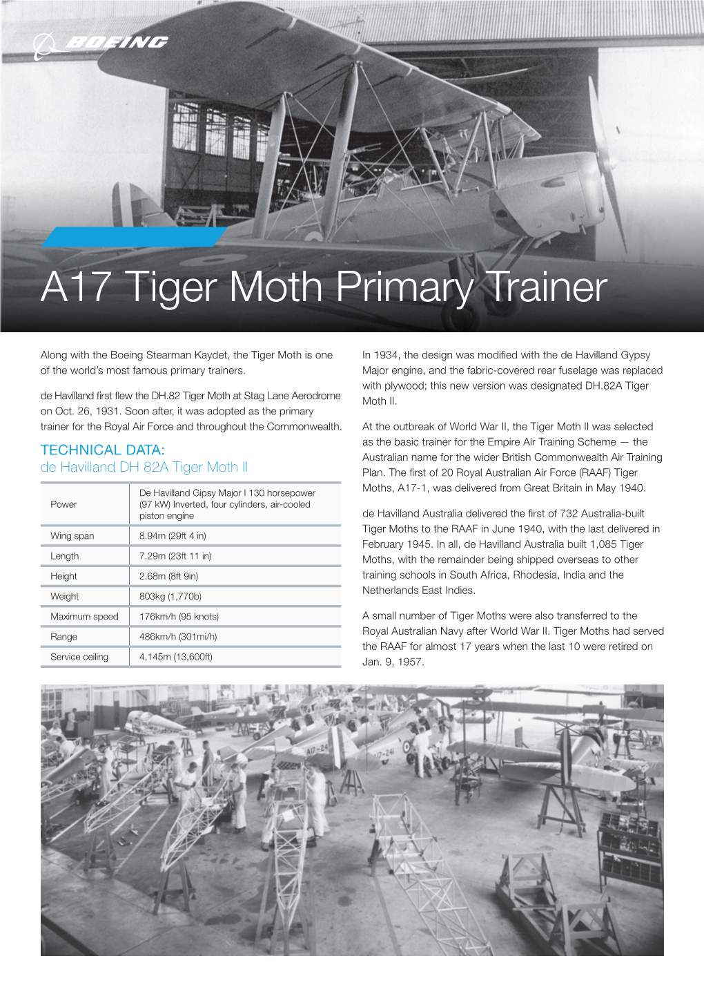 Tiger Moth Primary Trainer