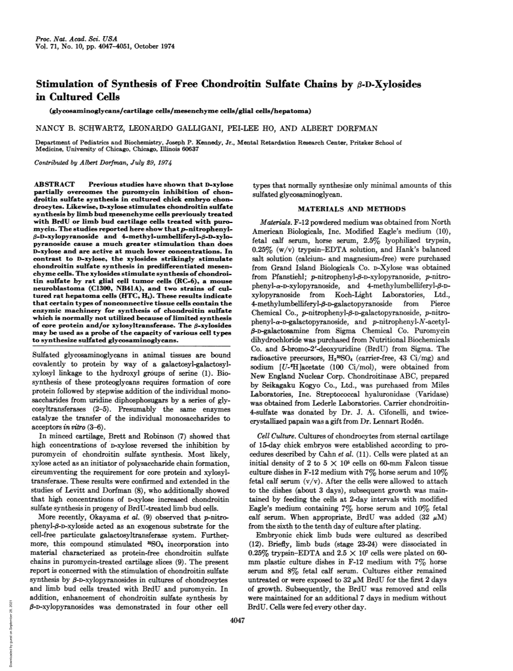 In Cultured Cells (Glycosaminoglycans/Cartilage Cells/Mesenchyme Cells/Gligl Cells/Hepatoma) NANCY B