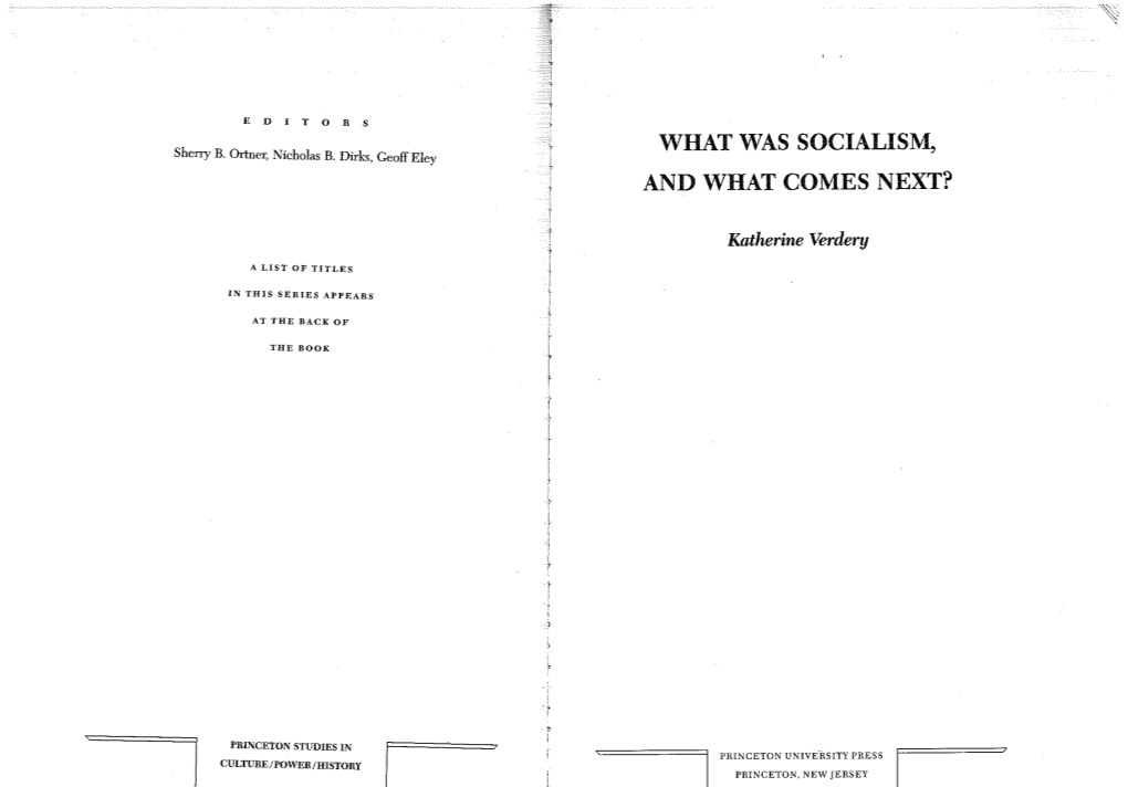 VERDERY What Was Socialism and What Comes Next.Pdf