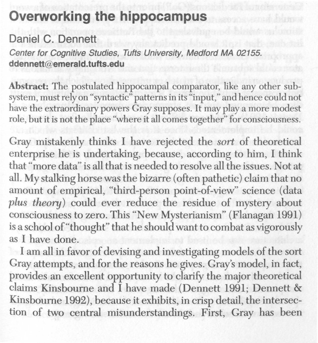 Overworking the Hippocampus