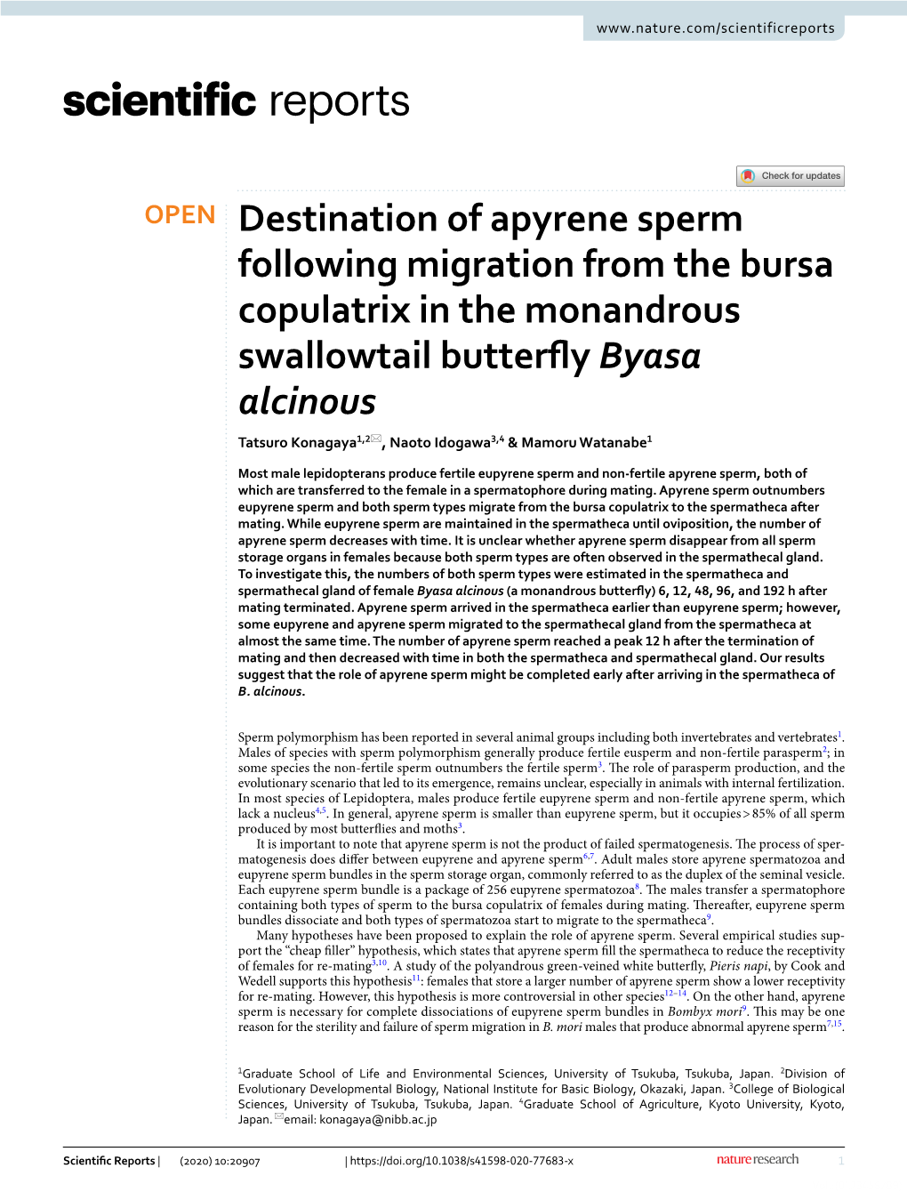 Destination of Apyrene Sperm Following Migration from the Bursa