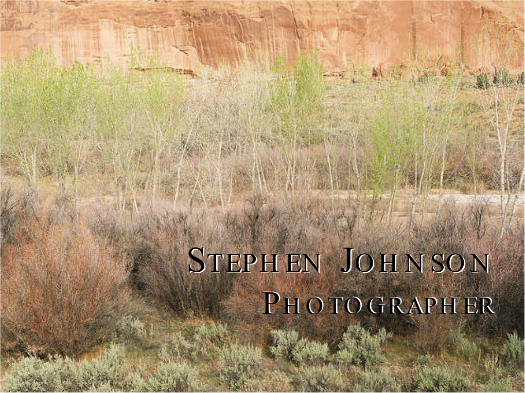 Stephen Johnson: Photographer