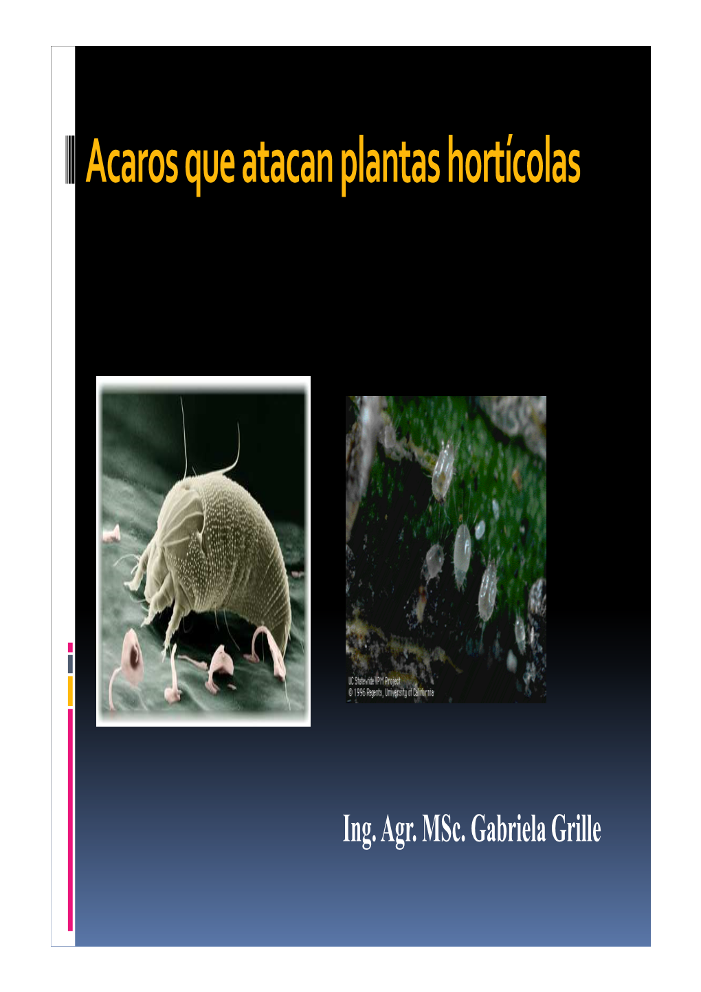PLAGAS HORTI III Acaros 2012 4To Año Horticolabis